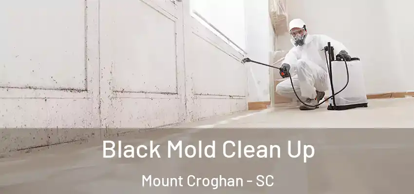  Black Mold Clean Up Mount Croghan - SC