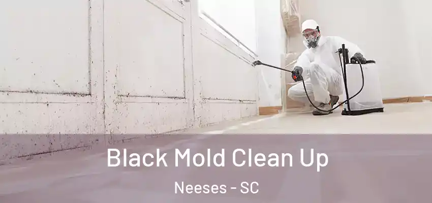  Black Mold Clean Up Neeses - SC