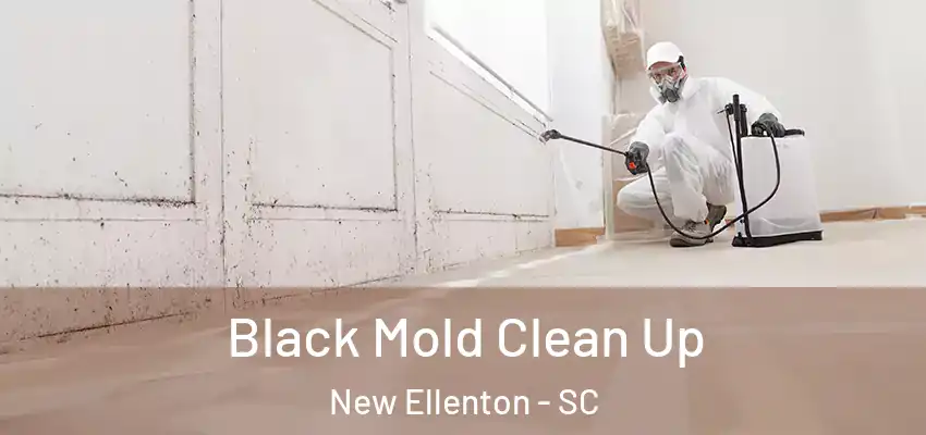 Black Mold Clean Up New Ellenton - SC