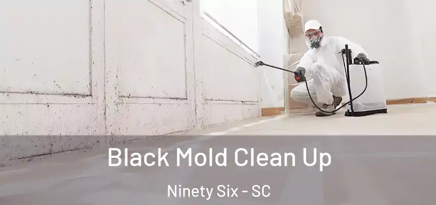  Black Mold Clean Up Ninety Six - SC