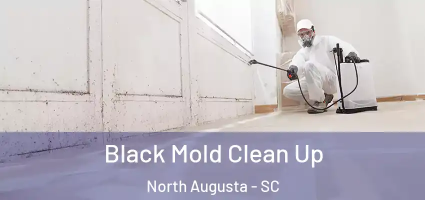  Black Mold Clean Up North Augusta - SC