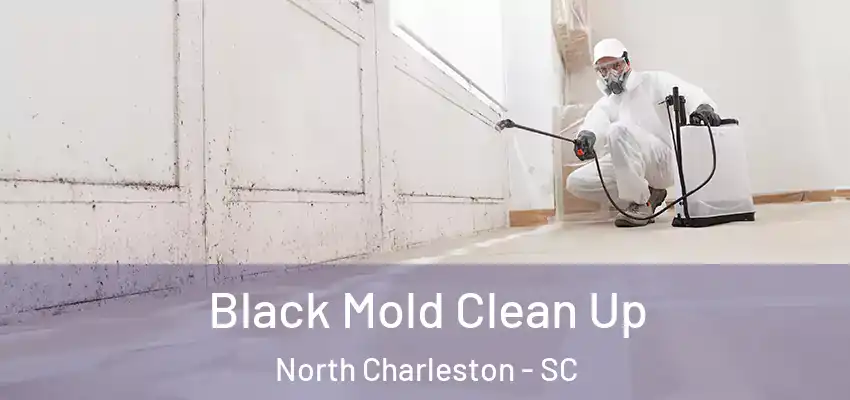  Black Mold Clean Up North Charleston - SC