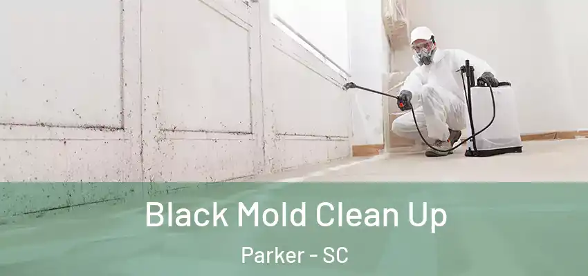  Black Mold Clean Up Parker - SC