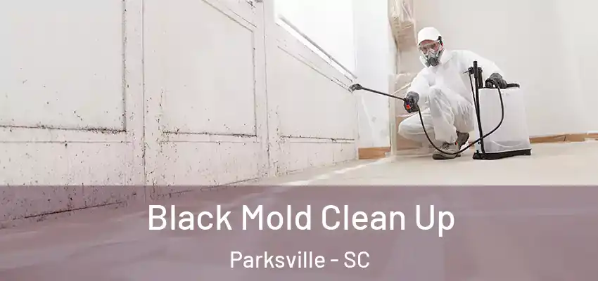  Black Mold Clean Up Parksville - SC