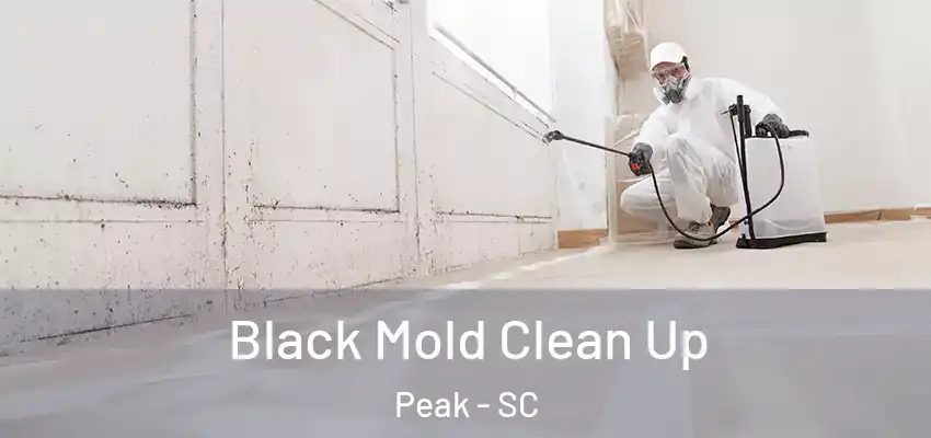  Black Mold Clean Up Peak - SC