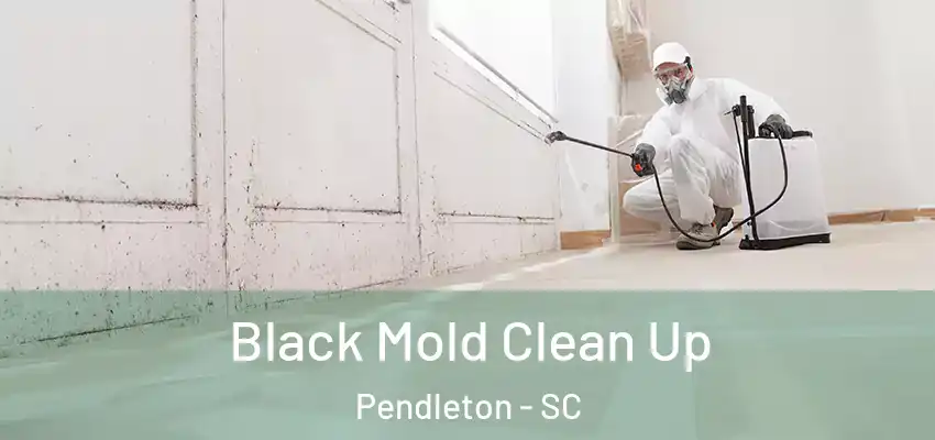Black Mold Clean Up Pendleton - SC