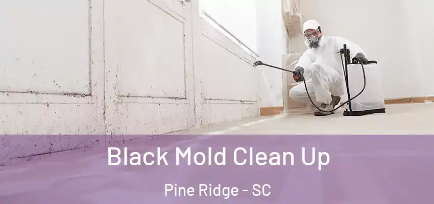  Black Mold Clean Up Pine Ridge - SC