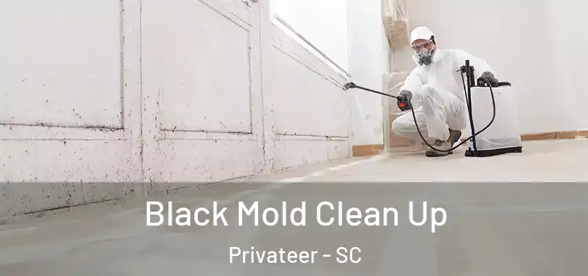 Black Mold Clean Up Privateer - SC