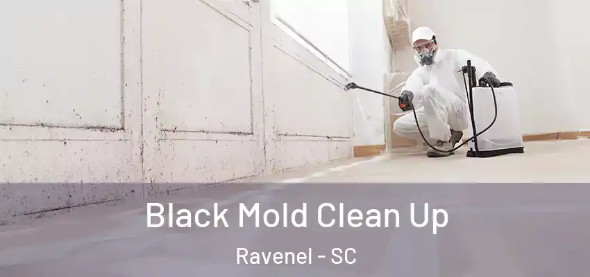 Black Mold Clean Up Ravenel - SC