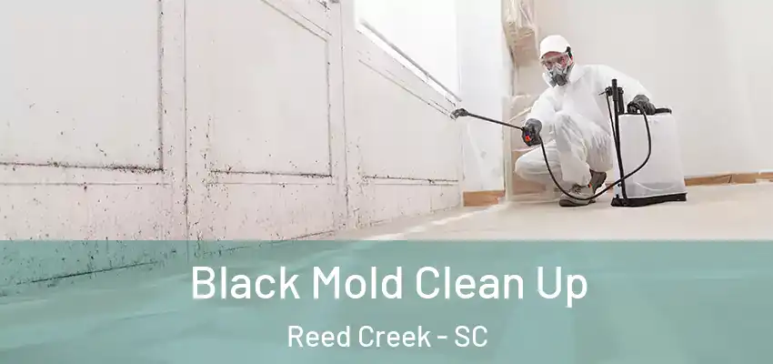  Black Mold Clean Up Reed Creek - SC