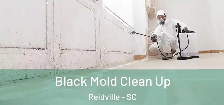  Black Mold Clean Up Reidville - SC