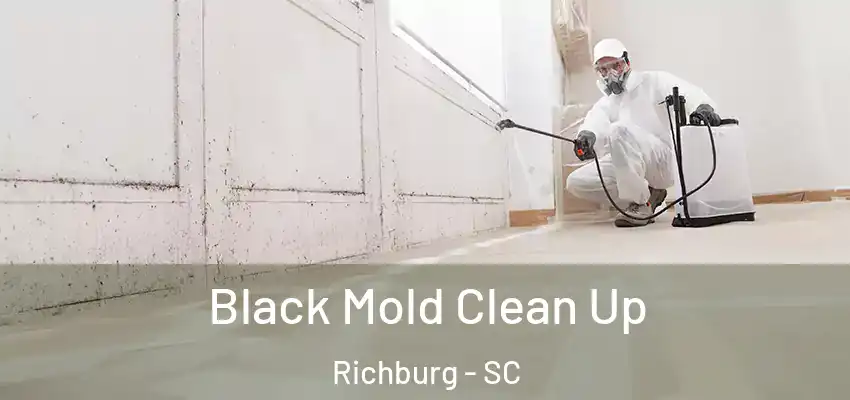 Black Mold Clean Up Richburg - SC