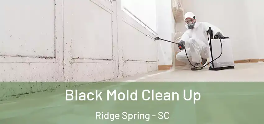  Black Mold Clean Up Ridge Spring - SC