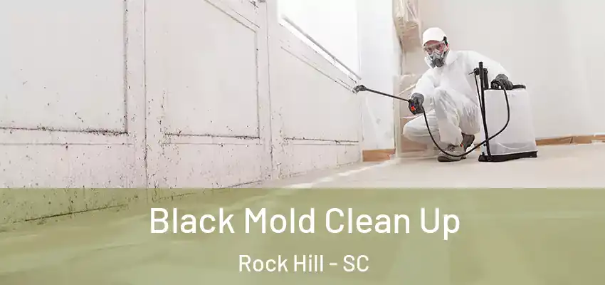 Black Mold Clean Up Rock Hill - SC