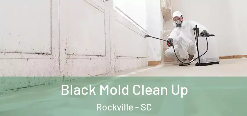  Black Mold Clean Up Rockville - SC