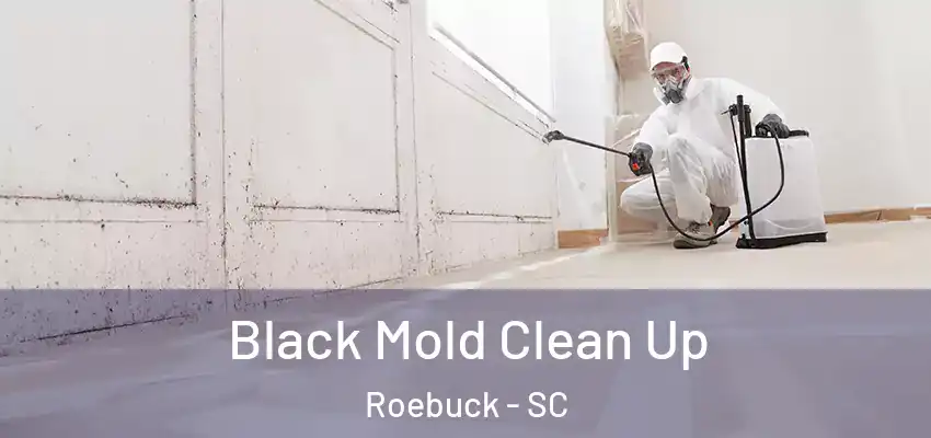  Black Mold Clean Up Roebuck - SC