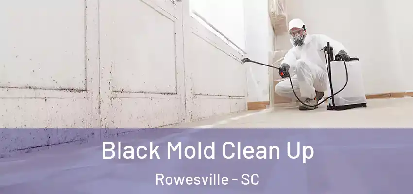  Black Mold Clean Up Rowesville - SC