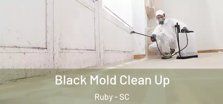  Black Mold Clean Up Ruby - SC