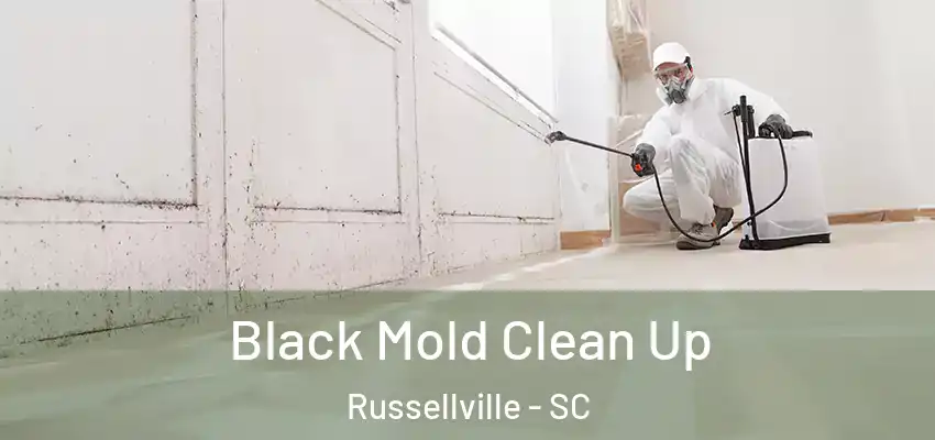  Black Mold Clean Up Russellville - SC