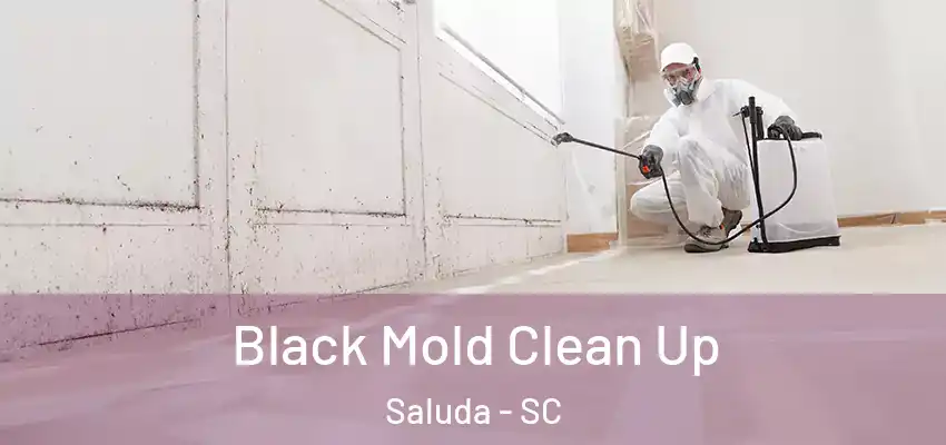Black Mold Clean Up Saluda - SC