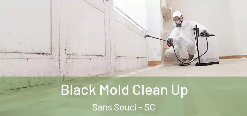 Black Mold Clean Up Sans Souci - SC