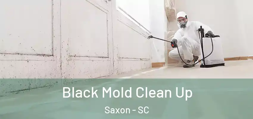  Black Mold Clean Up Saxon - SC