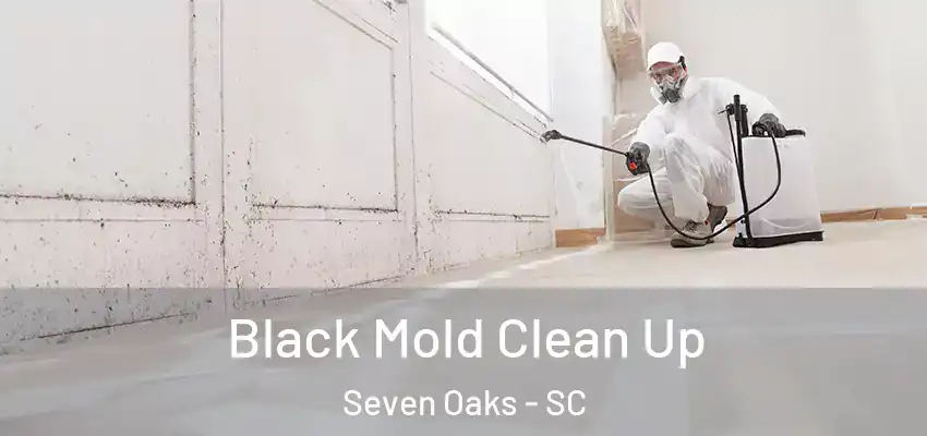  Black Mold Clean Up Seven Oaks - SC