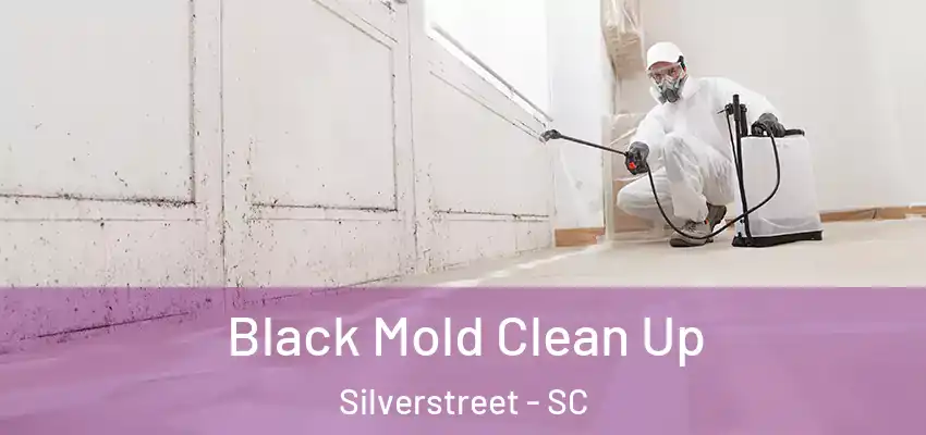  Black Mold Clean Up Silverstreet - SC
