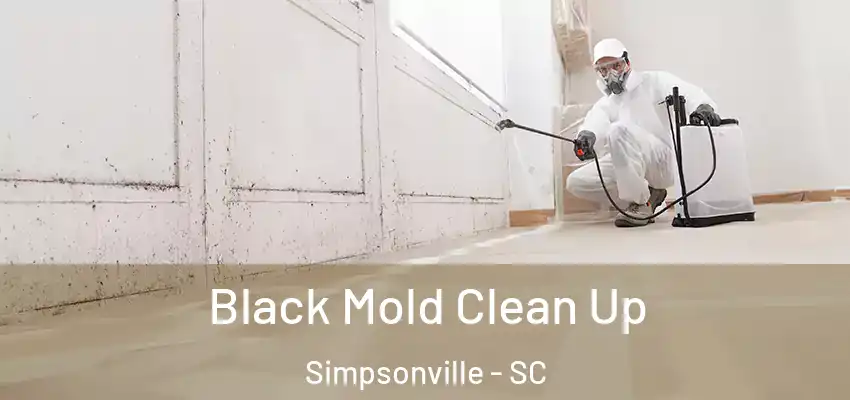  Black Mold Clean Up Simpsonville - SC