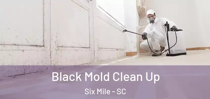  Black Mold Clean Up Six Mile - SC