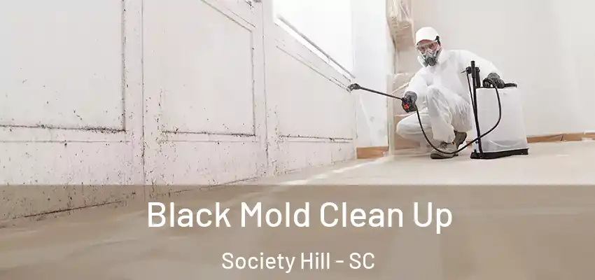  Black Mold Clean Up Society Hill - SC