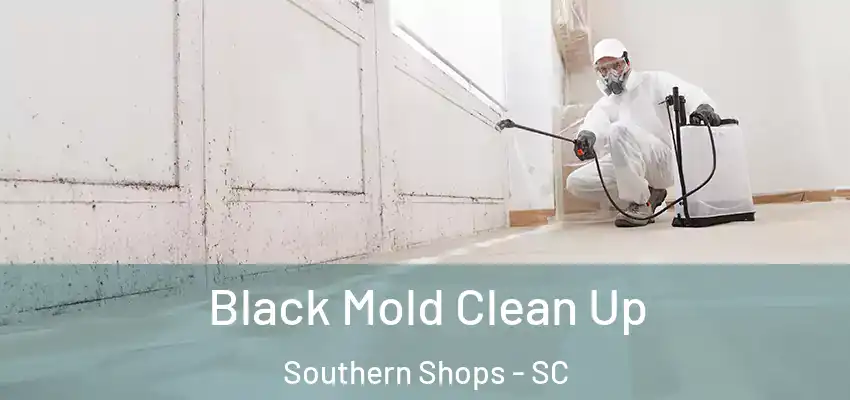 Black Mold Clean Up Southern Shops - SC