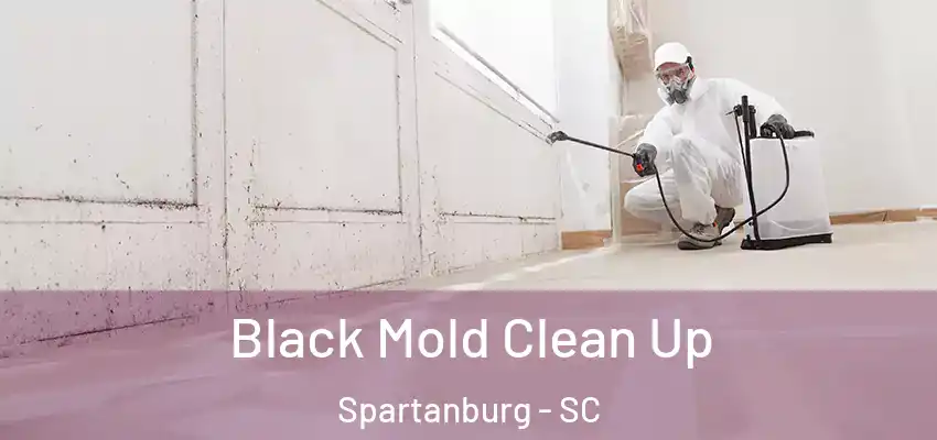  Black Mold Clean Up Spartanburg - SC