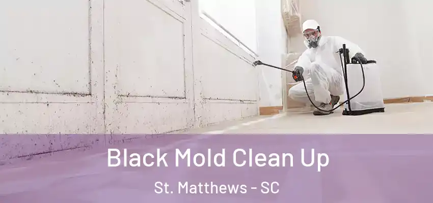 Black Mold Clean Up St. Matthews - SC