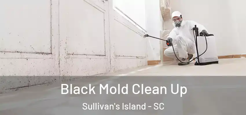  Black Mold Clean Up Sullivan's Island - SC