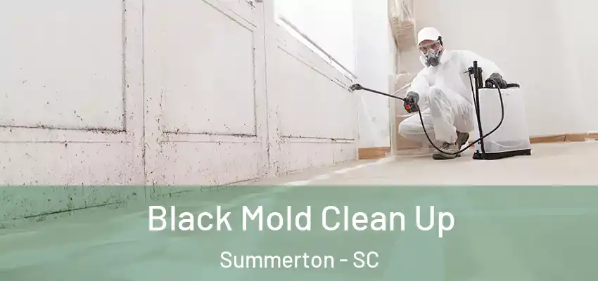  Black Mold Clean Up Summerton - SC