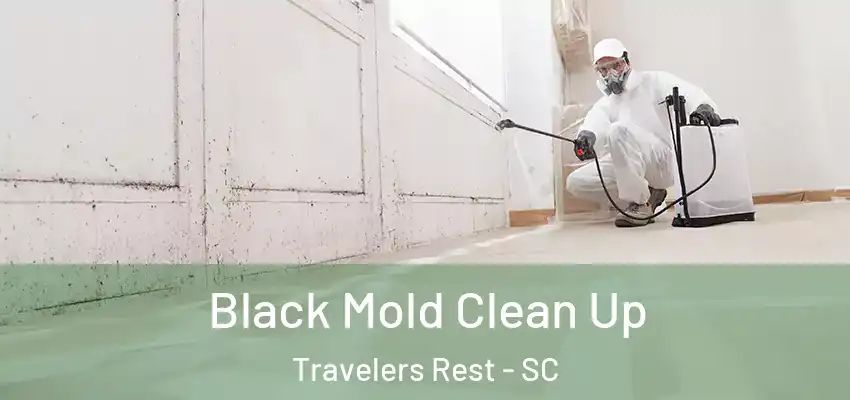 Black Mold Clean Up Travelers Rest - SC