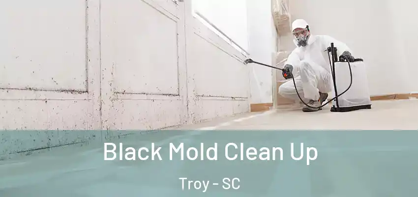  Black Mold Clean Up Troy - SC
