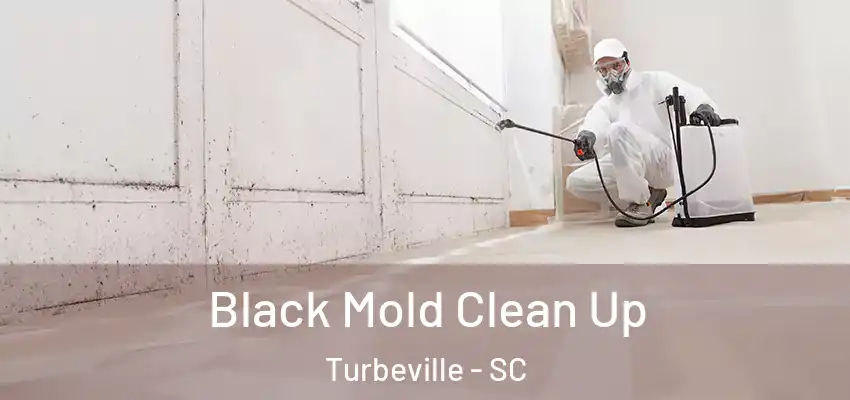  Black Mold Clean Up Turbeville - SC