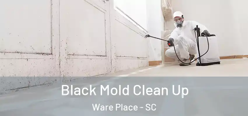 Black Mold Clean Up Ware Place - SC