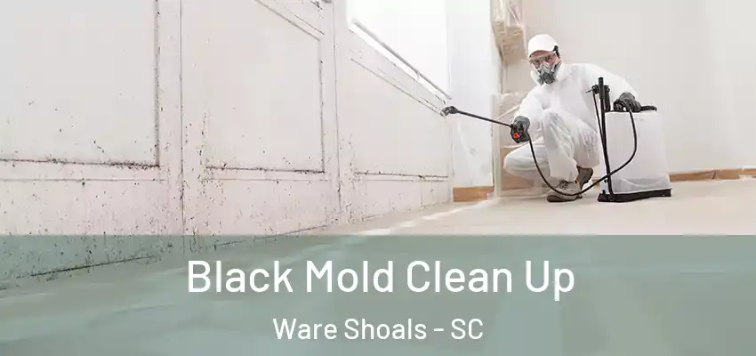  Black Mold Clean Up Ware Shoals - SC