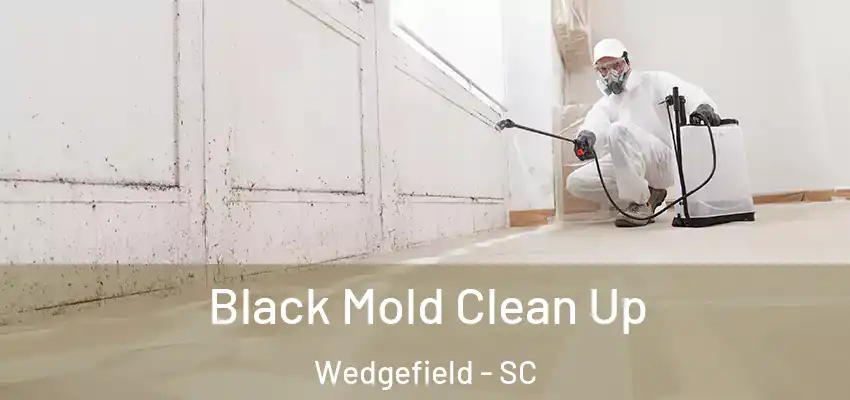 Black Mold Clean Up Wedgefield - SC