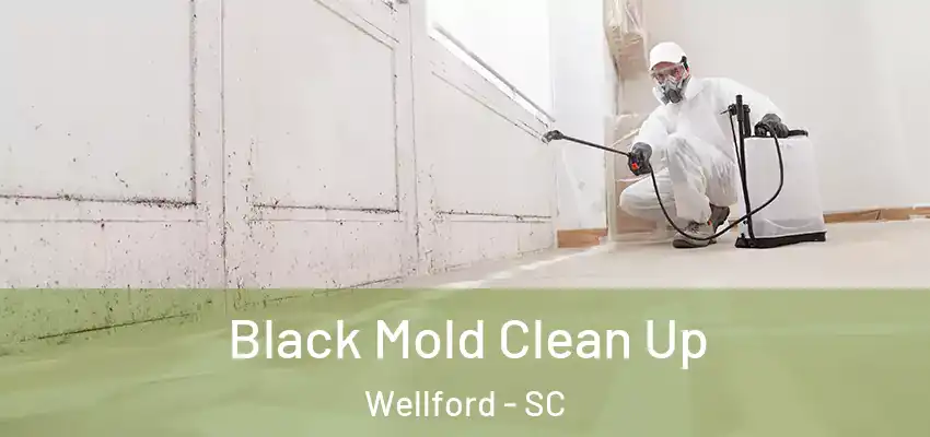 Black Mold Clean Up Wellford - SC