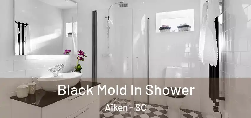 Black Mold In Shower Aiken - SC