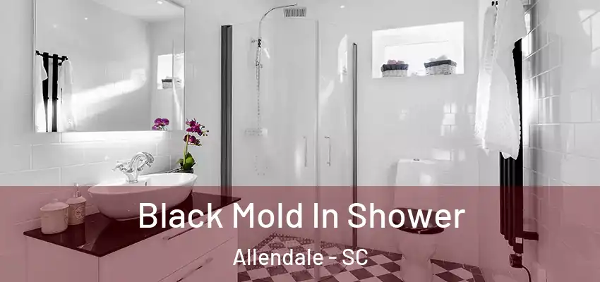 Black Mold In Shower Allendale - SC