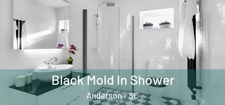 Black Mold In Shower Anderson - SC