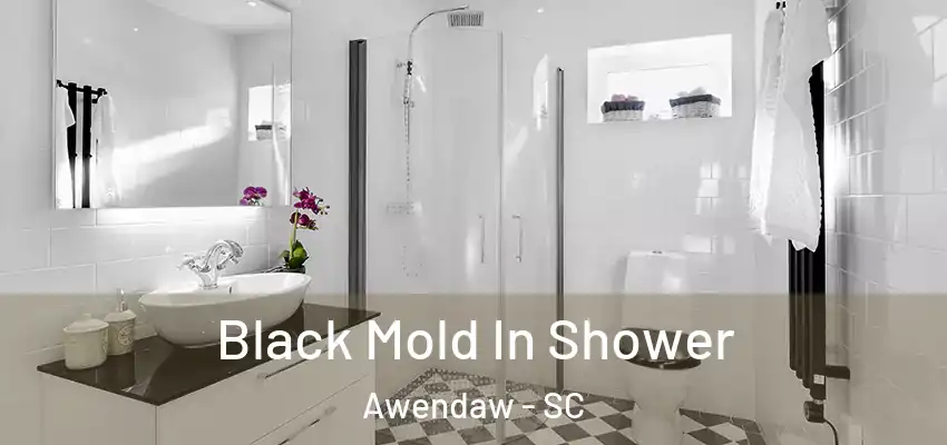  Black Mold In Shower Awendaw - SC