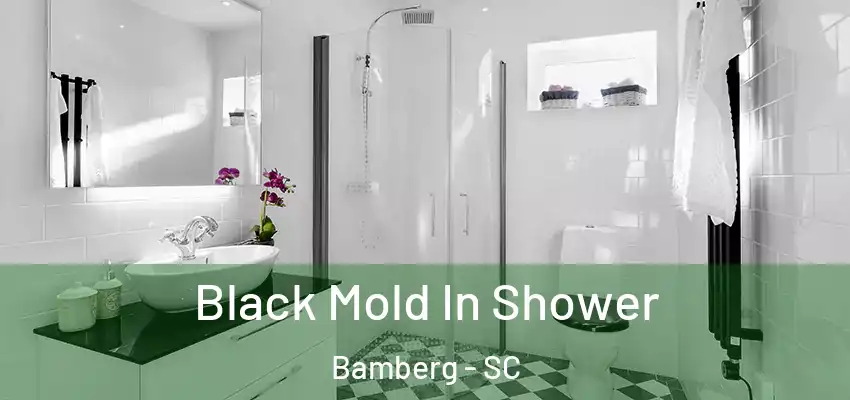  Black Mold In Shower Bamberg - SC