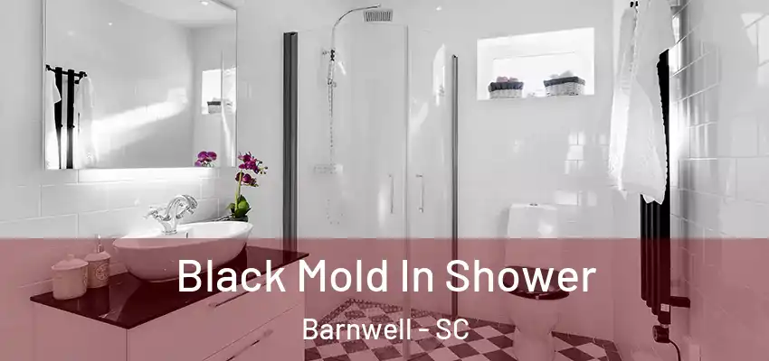 Black Mold In Shower Barnwell - SC