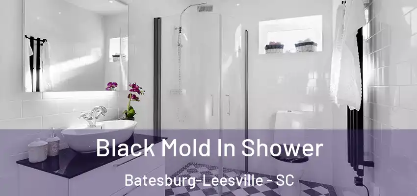  Black Mold In Shower Batesburg-Leesville - SC